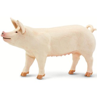 Safari Ltd. : SFR100269 โมเดลสัตว์ Large White Pig