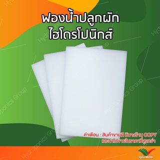 ฟองน้ำปลูกผักไฮโดรโปนิกส์คุณภาพดี  1  แผ่น by hydroponicgroup