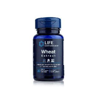 LE Wheat Extract บำรุงผิว เพิ่มความชุ่มชื้นแก่ผิว ลดริ้วรอย Life Extension Thailand