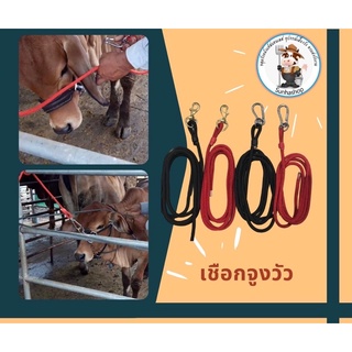 [🔥พร้อมส่ง]เชือกจูงวัวสวยงามพร้อมตะขอทองเหลือง แท้ 🐄🐂🐃 ราคาถูก