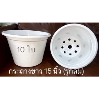 Little กระถางต้นไม้ 15 นิ้ว 10 ใบ สีดำ สีขาว สีอิฐ