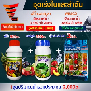 สินค้าชุด เร่งความสมบูรณ์ของลำต้นและใบ พี่บิ๊ก 500 มล.(ฮอร์โมน)+ ฟอร์มูล่า 500 มล.(สารจับใบ)+WESCO ปุ๋ย 30-20-10 3กก.