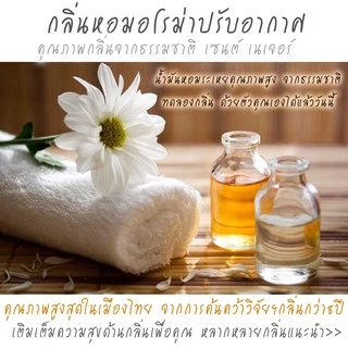 (15mlมีขายส่ง)🔥ก้านไม้หอมปรับอากาศ SCENT NATURE ขนาดมินิ 15ml🔥(Official Shop)
