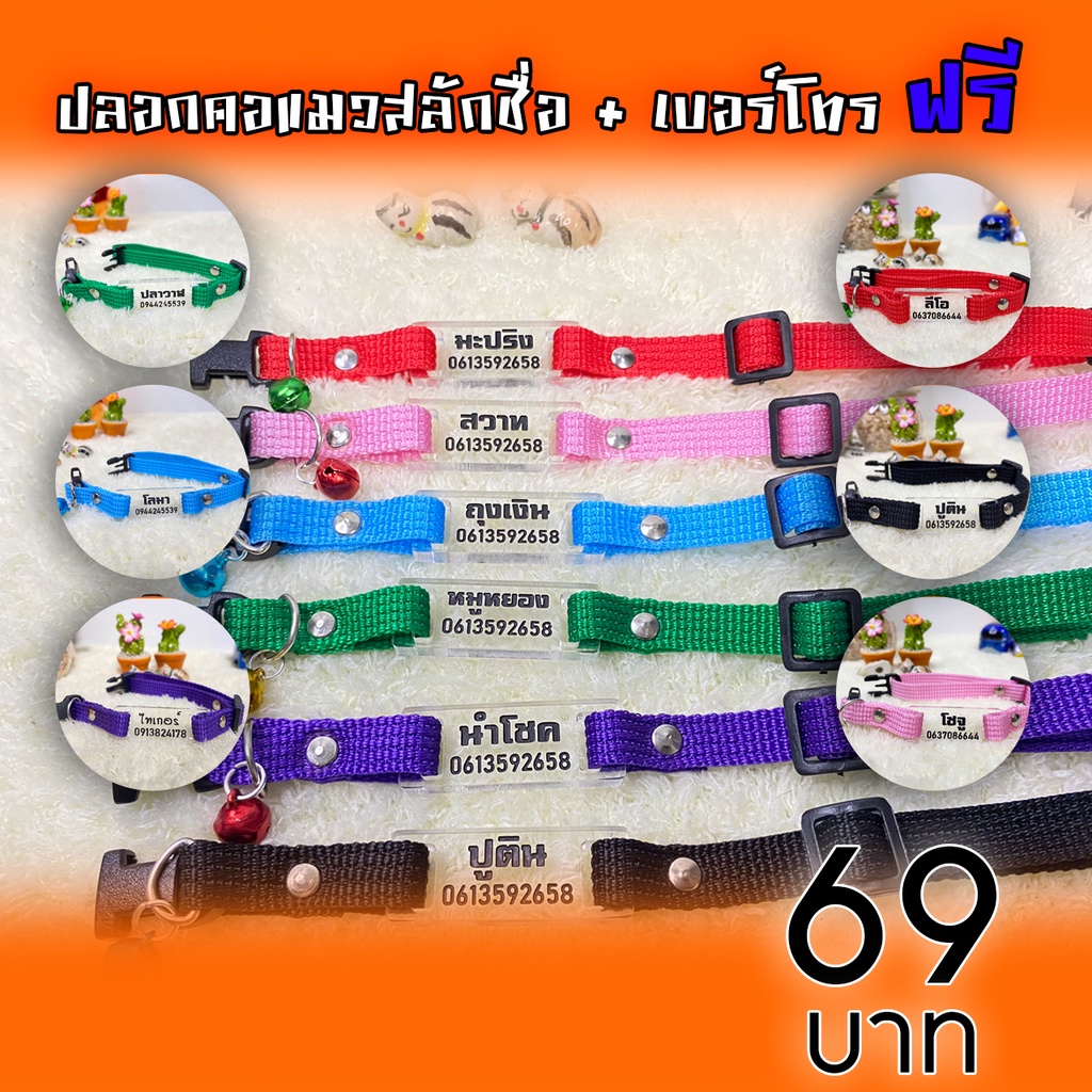 ปลอกคอแมวสลักชื่อพร้อมเบอร์โทร