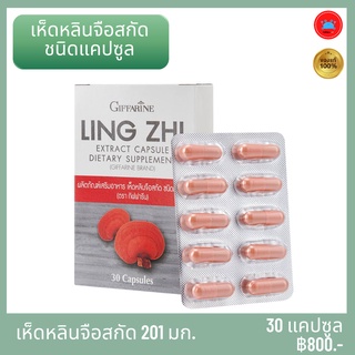 เห็ดหลินจือสกัด Ling Zhi Extract Capsule อาหารเสริมเพื่อสุขภาพ เห็ดหลินจือสายพันธุ์สีแดง ชนิด แคปซูล กิฟฟารีน Giffarie