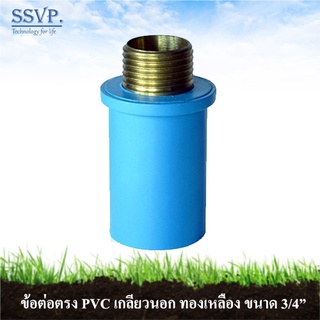 ต่อตรง PVC เกลียวนอกทองเหลือง รหัส 54612 ขนาด 3/4" (แพ็ค 1 ตัว)