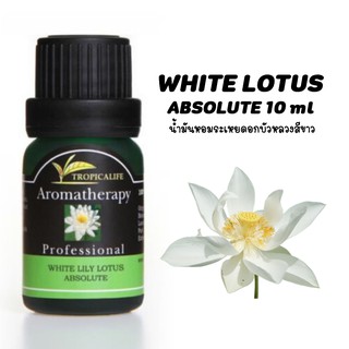 น้ำมันหอมระเหยดอกบัวหลวงสีขาว WHITE LOTUS ABSOLUTE ปริมาณ 10ml