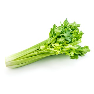 คึ่นฉ่ายฝรั่ง Celery เซเลอรี่ เมล็ดพันธุ์ คึ่นช่ายฝรั่ง 2,200เมล็ด เจียไต๋