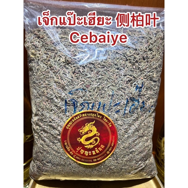 เจ็กแป๊ะเฮียะ 侧柏叶 Cebaiye เช่อไป่เยี่ย เจ็กแปะเฮียะ