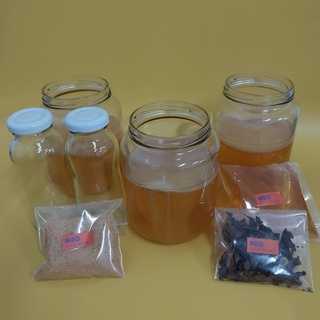 Kombucha starter kit ชุดหมักเหมาะสำหรับมือใหม่ Saving promotion