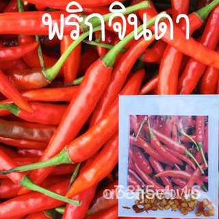 （มีของแจก）（การันตีอัตรางอก）พริกจินดา ถูกที่สุด 9 บ.50 เมล็ดเมล็ดพันธุ์พริก งอกดี โตเร็ว ให้ผลดก WPFH