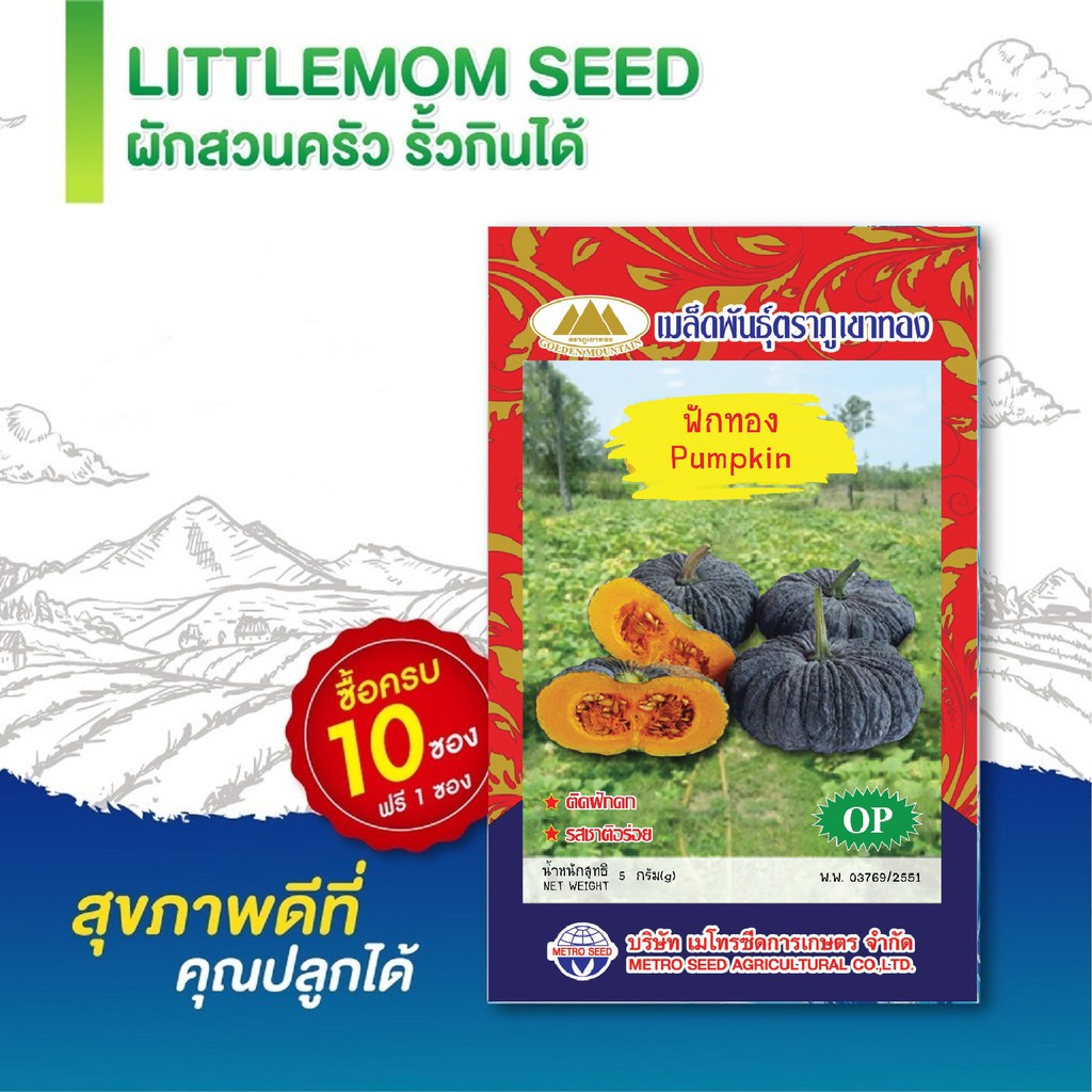 เมล็ดฟักทอง ภูเขาทอง 3 กรัม