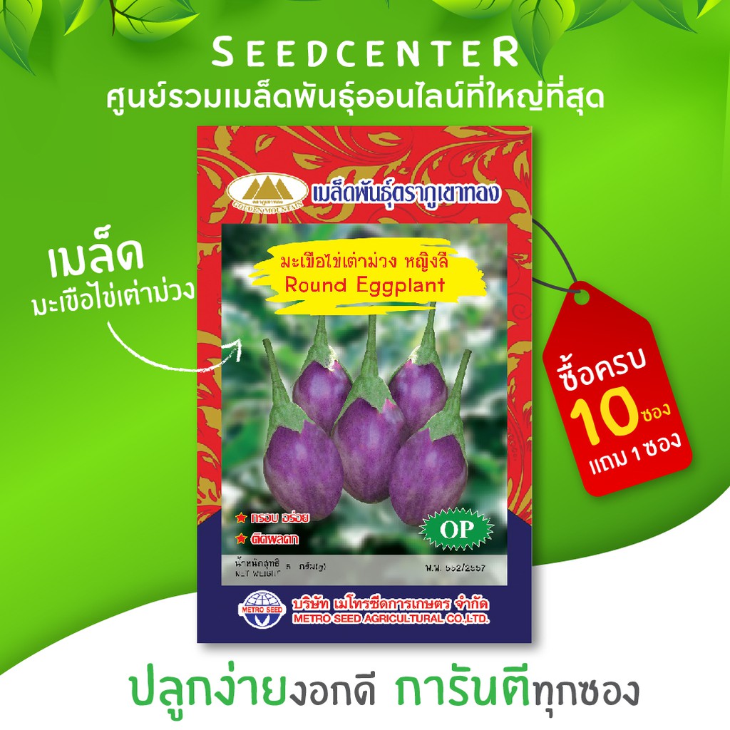 เมล็ดมะเขือไข่เต่าเขียว ขนาด 2 กรัม ภูเขาทอง