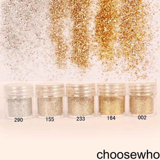 [HCLM] Champagne Silver Gold Color Nail Glitter Fine Powder Paillette Sequins Powder for Nail Art Decoration 5-01