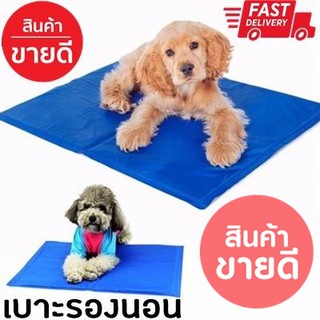 Pet cool mat ที่นอนเจลเย็นหมา แผ่นเจลรองนอนหมา แผ่นเจลเย็น M 40cm X 50cmช่วยลดความร้อน คลายร้อนให้สุนัข