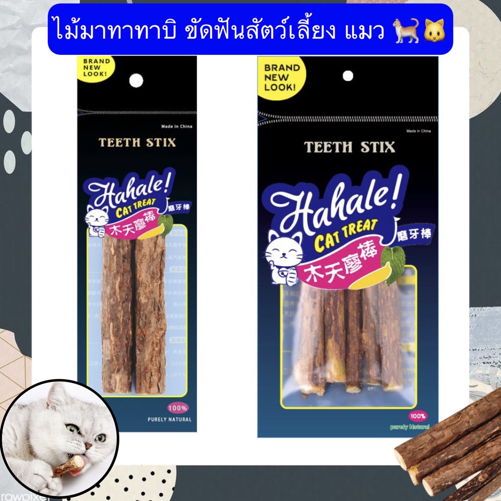 MG-367 ไม้มาทาทาบิ ของเล่นขัดฟันแมว ช่วยลดคราบหินปูน เสริมความสะอาดช่องปากสัตว์เลี้ยง ราคาประหยัด พร้อมส่งทันที! 🦷🐱💙