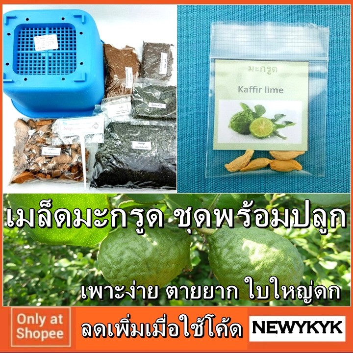 My Image 26