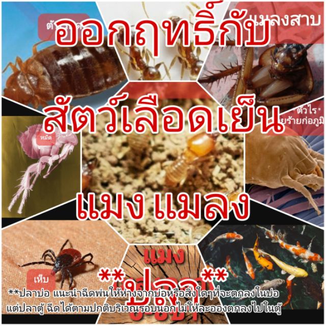 กำจัดมด กำจัดปลวก กำจัดแมลงสาบ แมงและแมลงคลาน6-8ขา ใช้ง่ายปลอดภัยกับเด็กและสัตว์เลี้ยง 500 ml. gallon ราคา ถูกที่สุด ดีลบีเคเค แกลเลอรีภาพที่ 3