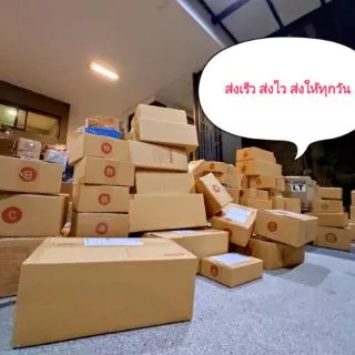 ปลาจิ๊กโก๋ใหญ่ ช่อนทะเลแห้ง จืด ปลอดสาร ถูกที่สุด