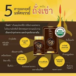 ถั่งเช่า ยิ่งยง ถั่งเช่า มัลติ วิตามินบี Cordyceps Plus Multivitamin B ถังเช่า