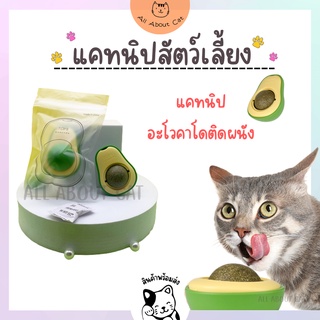 [ABC cat] [แคทนิปติดผนัง] แคทนิปอโวคาโด แคทนิป ติดผนัง ของเล่นแมว ของเล่นสัตว์เลี้ยง