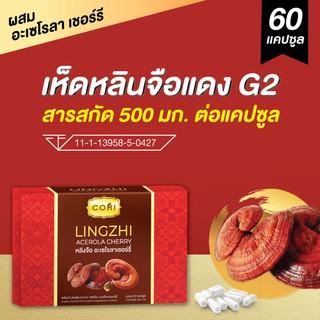 ราคาเห็ดหลินจือแดง สกัดเข้มข้น 500 มก. (60แคป) ผสมอะเซโรล่า เชอร์รี่ เห็ดหลินจือแดงสกัด เห็ดหลินจือสกัด เห็ดหลินจือแคปซูล