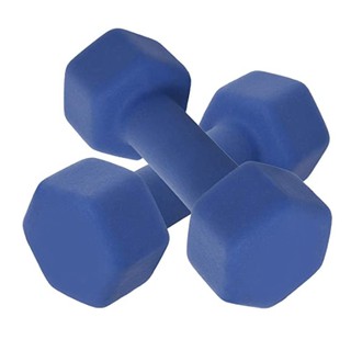 Dumbbell ดัมเบล ดัมเบลยาง ออกกำลังกาย สินค้าพร้อมส่ง 1-2kg.