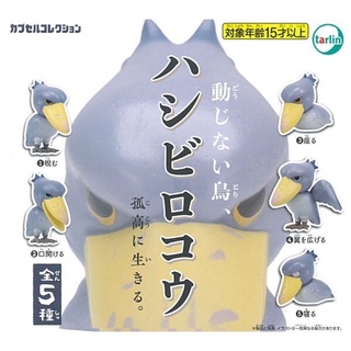 🦉พร้อมส่ง🦉กาชาปองนก Doujinaitori Shoebill Tarlin