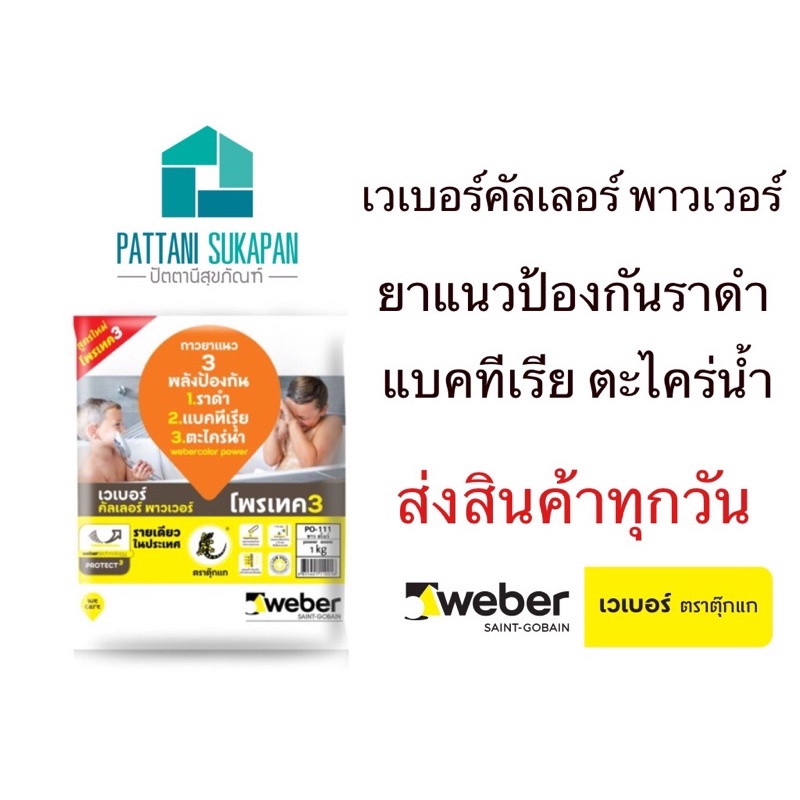 Weber ยาแนวเวเบอร์โพรเทค3 ยาแนวกันเชื้อรา