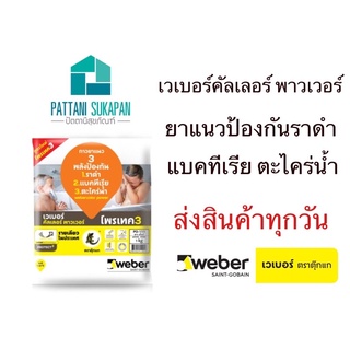 Weber ยาแนวเวเบอร์โพรเทค3 ยาแนวกันเชื้อรา