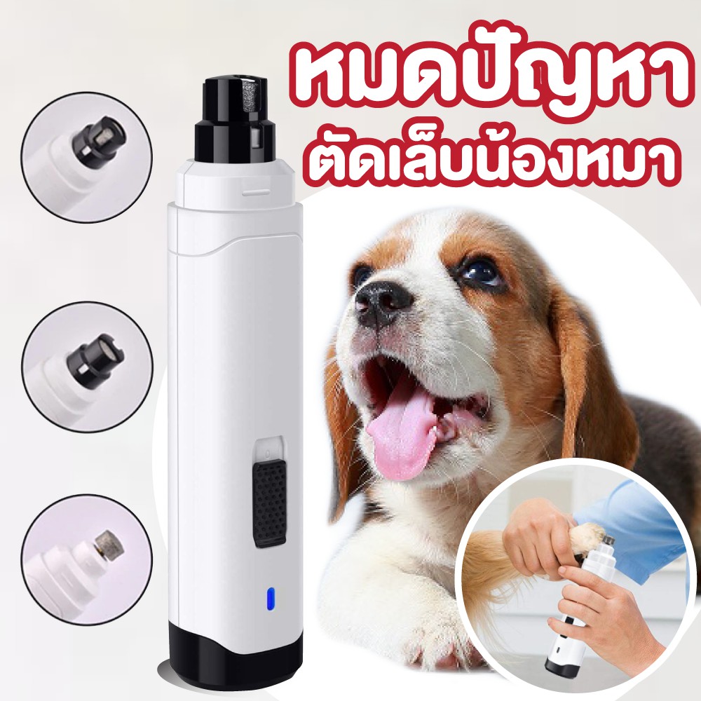 professional groomer กรอ ตะไบ ตัดเล็บสัตว์เลี้ยง