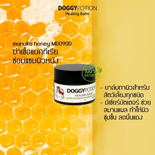 Doggy Potion 100% Natural Healing Balm for pets บาล์มรักษาธรรมชาติสำหรับสัตว์เลี้ยง (20g)