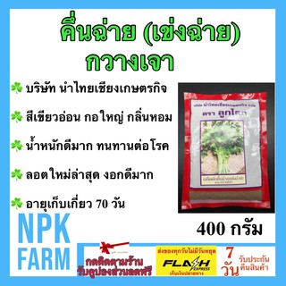 คึ่นฉ่าย กวางเจา (ลูกโลก) 400 กรัม ลอตใหม่ งอกดีมาก สีเขียวอ่อน กอใหญ่มาก กลิ่นหอม น้ำหนักดี ทนทานต่อโรค เมล็ดพันธุ์ สวน