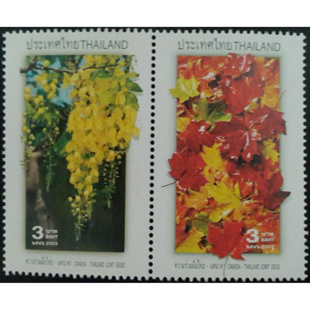 B243 แสตมป์ไทยยังไม่ได้ใช้ ชุด ความร่วมมือไทย-แคนาดา ปี 2546