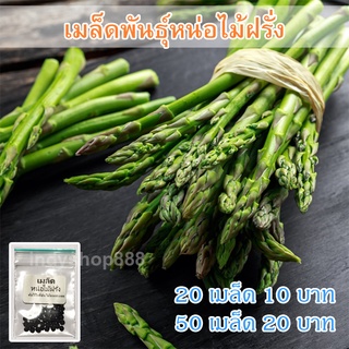 เมล็ดพันธุ์ หน่อไม้ฝรั่ง 20 เมล็ด [ 10 เเถม 1 คละได้ ]