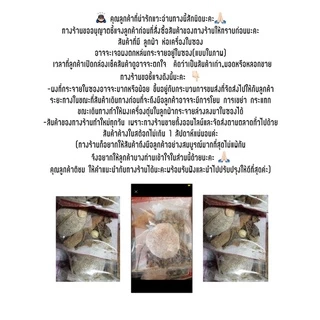 เครื่องเทศต้มน้ำก๋วยเตี๋ยว/ตุ๋น (หมู)🐽(ห่อเขียว)
