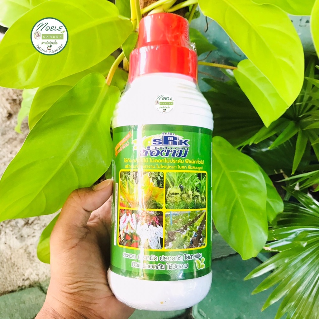 ปุ๋ยน้ำ ช่องาม 1,000 ซีซี / 1 ลิตร ฮอร์โมน สูตร เร่งใบ เร่งต้น บำรุงใบ เขียวเงางาม ใหญ่หนา  ต้นสมบูรณ์ บอนสี