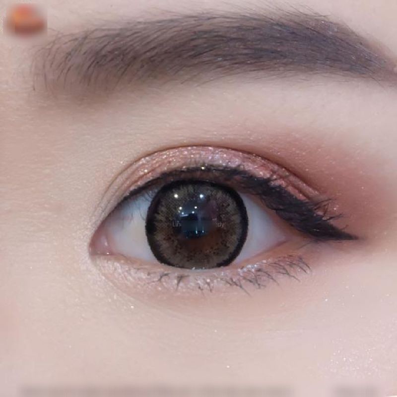 mini Kate Brown มินิ สีน้ำตาล น้ำตาล ตัดขอบดำ โทนเรียบร้อย สุภาพ  💜 Dream Color1 Contact Lens Bigeyes คอนแทคเลนส์ ค่าสา