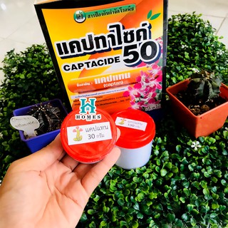 ยากันเชื้อราแคคตัส cactus ยากันรา ชนิดผง ยากันราแคปแทน (Captan - Captacide 50)  แคปแทน  แคคตัส ไม้ประดับ แบ่งขาย 30 กรัม