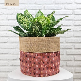 Pena Home : PLANT POT COVER กระถางต้นไม้ ลายสีแดง รุ่น 7PAS0005-7PAXL0005