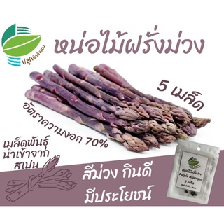 หน่อไม้ฝรั่งม่วง 5 เมล็ด (Purple Asparagus)