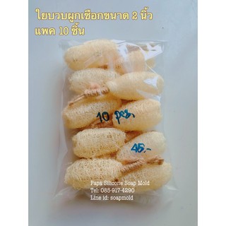 ใยบวบผูกเชือก ขัดตัว ทำสบู่แขวน แพค 10 ชิ้น