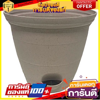 🌈BEST🌈 กระถางชีวภาพย่อยสลาย SPRING PLA NP-04  BIODEGRADABLE POT SPRING PLA NP-04 M NATURAL กระถางต้นไม้ 🛺💨