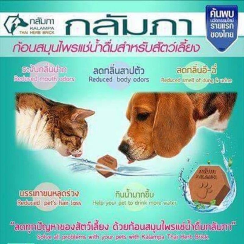 KALAMPA ก้อนสมุนไพรแช่น้ำดื่มสัตว์เลี้ยง กลัมภา สูตรเข้มข้นสำหรับน้องสุนัขตัวใหญ่
