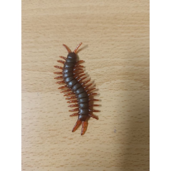 ตะขาบปลอม ตะขาบยาง ปาร์ตี้ฮาโลวีน ตะขาบสีน้ำตาล มี3ขนาด✌ - รูปที่ 4