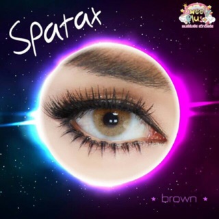 ตาฝรั่ง Spatax Brown❗️สายตาปกติเท่านั้น