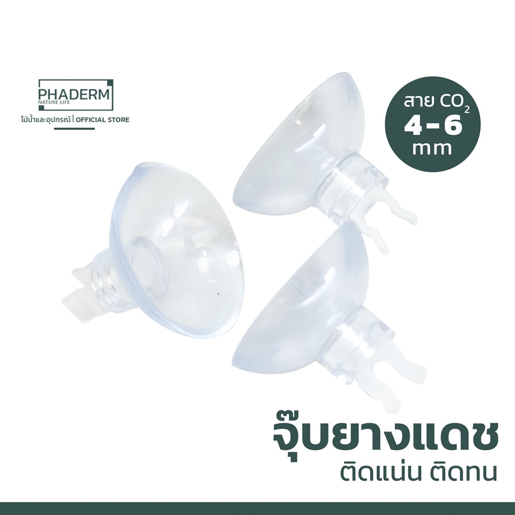ใหม่! จุ๊บยางแดช จุ๊บยางล็อกสายคาร์บอน ขนาด 4-6 mm อย่างดี [พร้อมส่ง] เเยกขายเป็นตัว