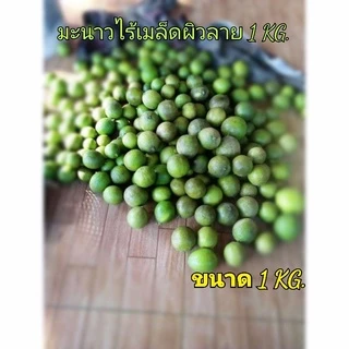 มะนาวไร้เมล็ด 1กิโลกรัม คั้นน้ำ ผิวลายน้ำเยอะ ราคาสุดคุ้ม Lemon without seeds, juiced with patterned balls