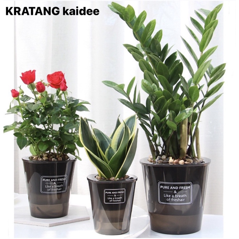 KRATANG kaidee 🌵กระถาง​รด​น้ำ​อัตโนมัติทรงเหลี่ยมBLACK Premium  กระถางต้นไม้​ แบบ​เก็บ​น้ำ​ได้​ รด​น้ำ​อัตโนมัติ🚚ส่งของท