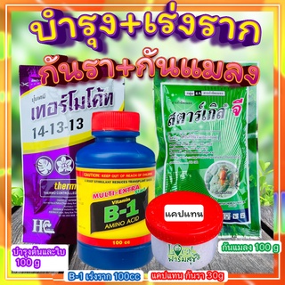 บำรุง+เร่งราก+กันรา+กันแมลง🔸 ปุ๋ยเทอร์โมโค้ท+น้ำยาเร่งรากB1+สตาร์เกิลจีกำจัดแมลง +แคปแทนกันรา ปุ๋ยบอนสี กุหลาบ แคคตัส